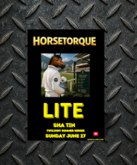 HT 45 HK LITE Shatin Twilight Saturday