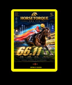 HORSETORQUE 75 Sha Tin Sep 13