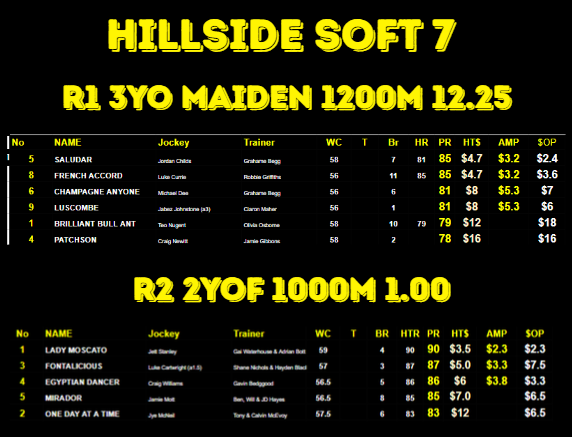 Horsetorque Sunday Scope - Sale - Wondonga Sun July 26