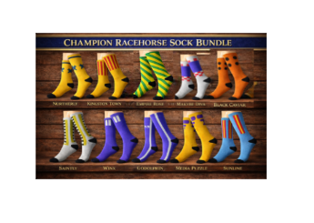 The Racing Sock 10 Pair Bundle