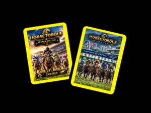 HORSETORQUE 85 86 Bundle Caulfield - Shatin  Sep 27