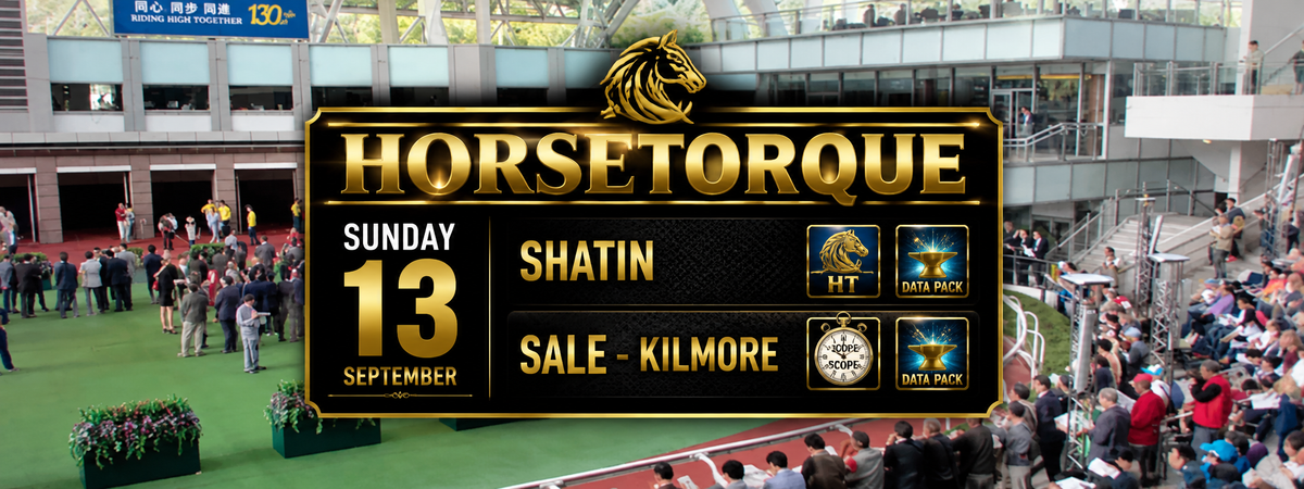 FORGE DP 75 Sha Tin Sunday Sep 13